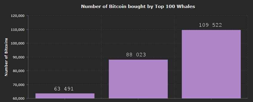 Как менялся баланс 100 «биткоин-китов» с июня по сентябрь и о чём это говорит