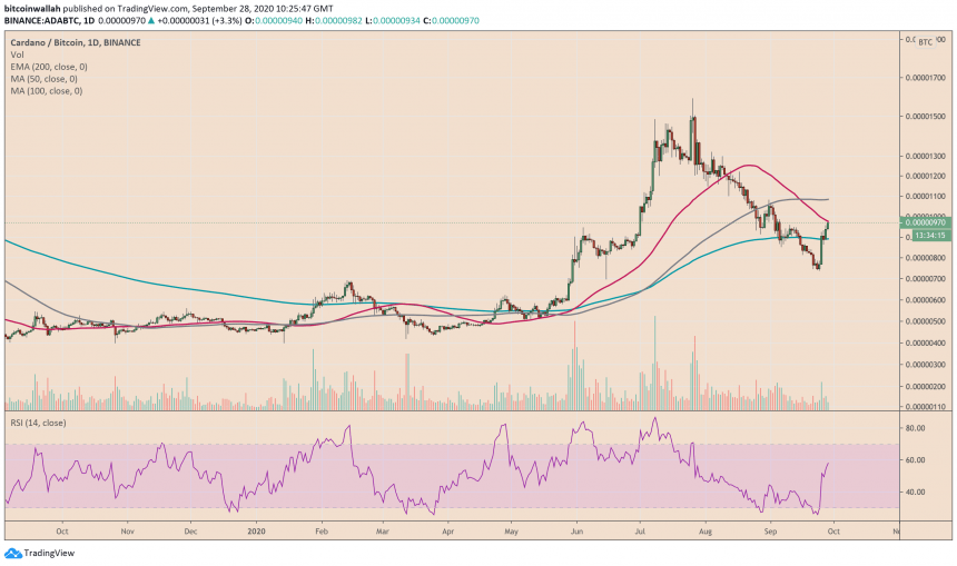 Цена Cardano взлетела до месячного максимума