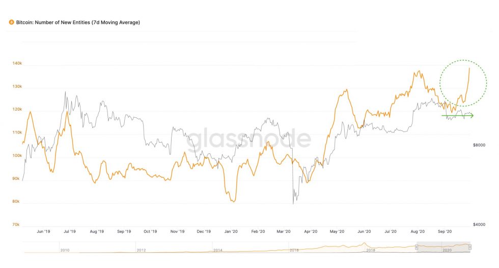 Отчет: Ходлеры контролируют более 63% биткоинов