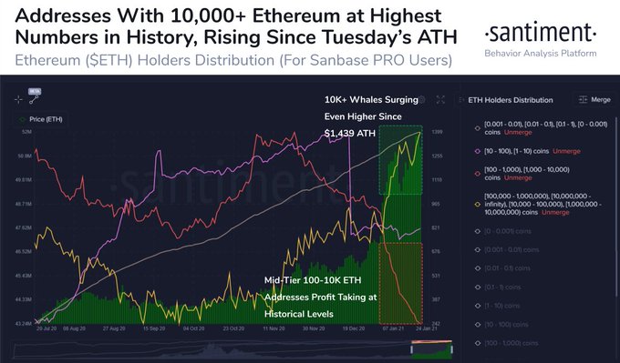 Отчет: Число эфириум-адресов, содержащих от 10 000 ETH, выросло до 1225