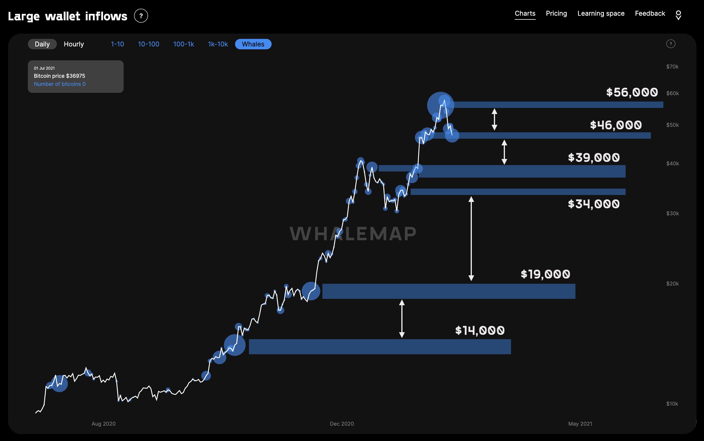 Биткоин превысил $51 000: Позитив вернулся на рынок?