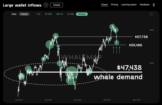 Биткоин пытается удержать позиции выше $55 000