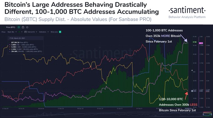 Santiment: Крупнейшие адреса за два месяца продали 300 000 биткоинов