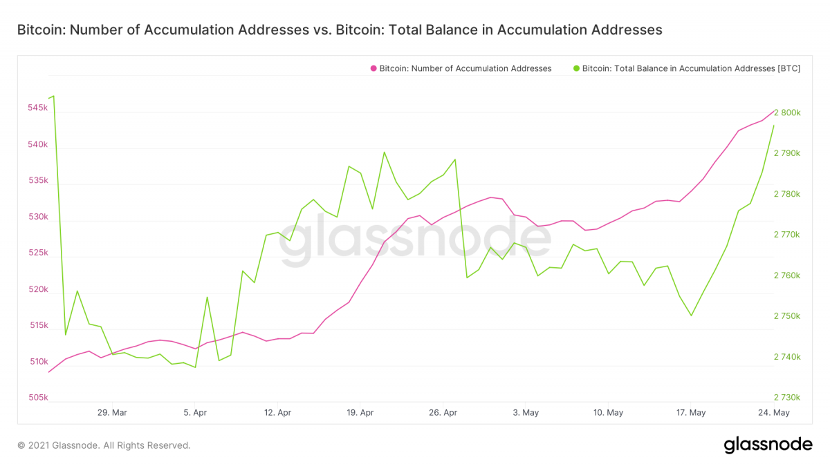 Когда упадет биткоин. Падение биткоина. Кто владелец биткоина основной. Bitcoin Holders Ranks.