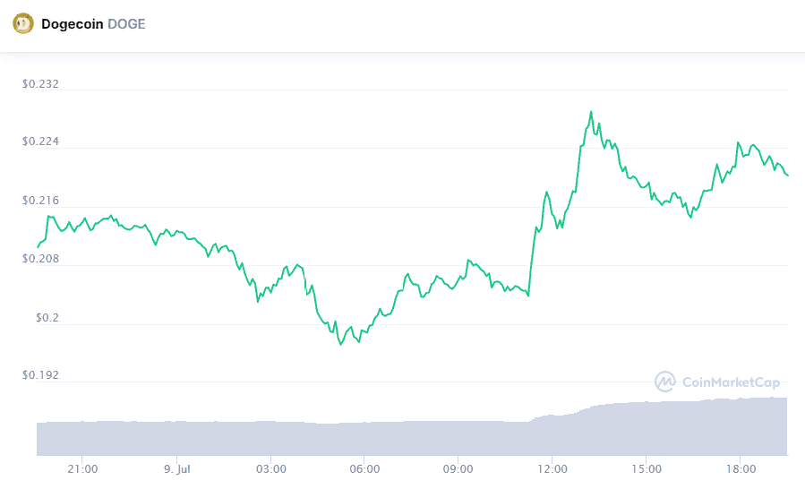 Dogecoin снова «выстрелил» благодаря поддержке Илона Маска