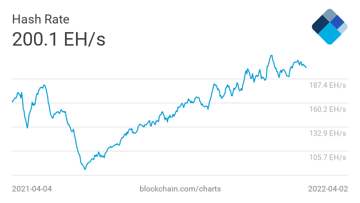 Майнеры добыли более 19 млн биткоинов