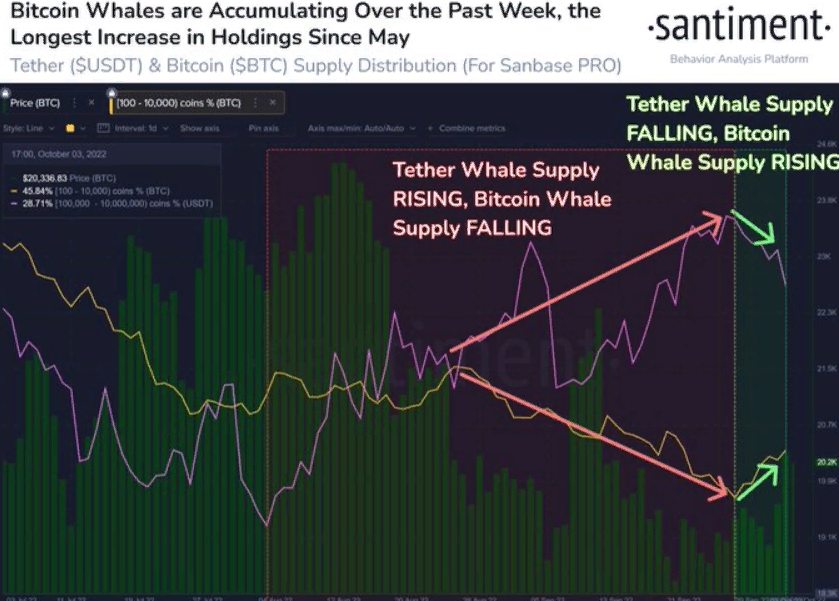 Биткоин упал ниже $20 000 после взлома блокчейна Binance